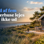 Strategi 2030- Fire ud af fem sommerhuse lejes stadig ikke ud